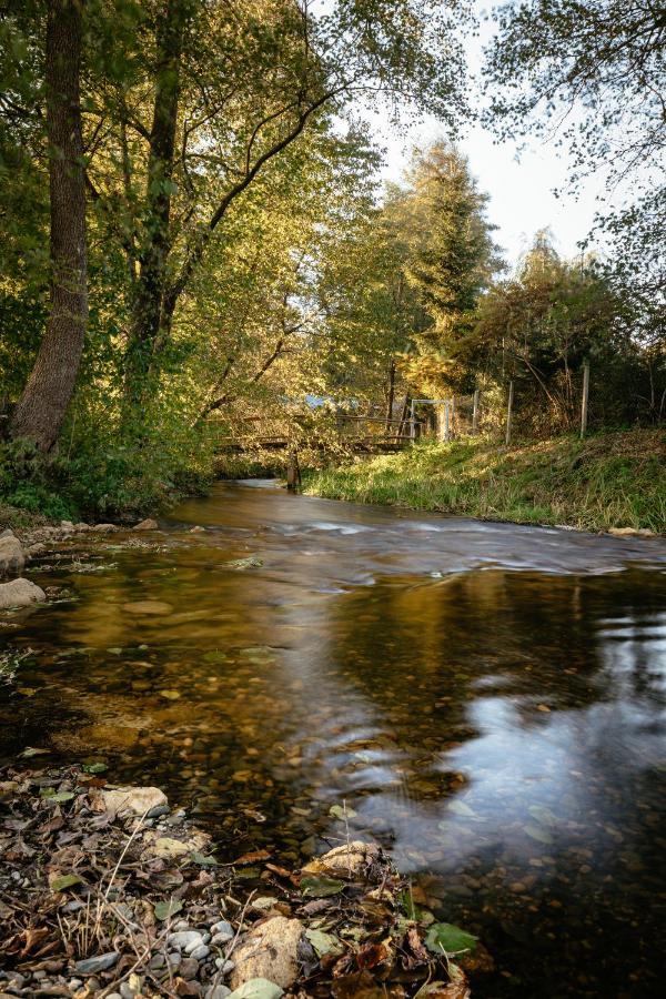 Wypoczynek U Piotra Villa Susiec Dış mekan fotoğraf