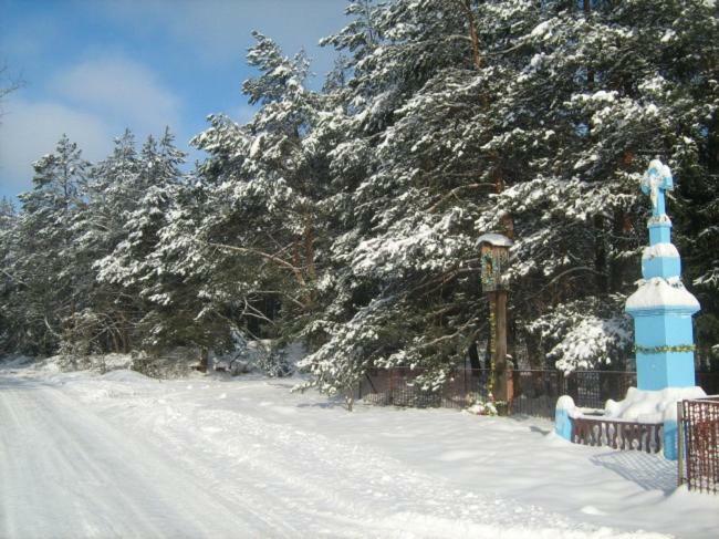 Wypoczynek U Piotra Villa Susiec Dış mekan fotoğraf
